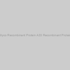 Image of Glyco Recombinant Protein A33 Recombinant Protein